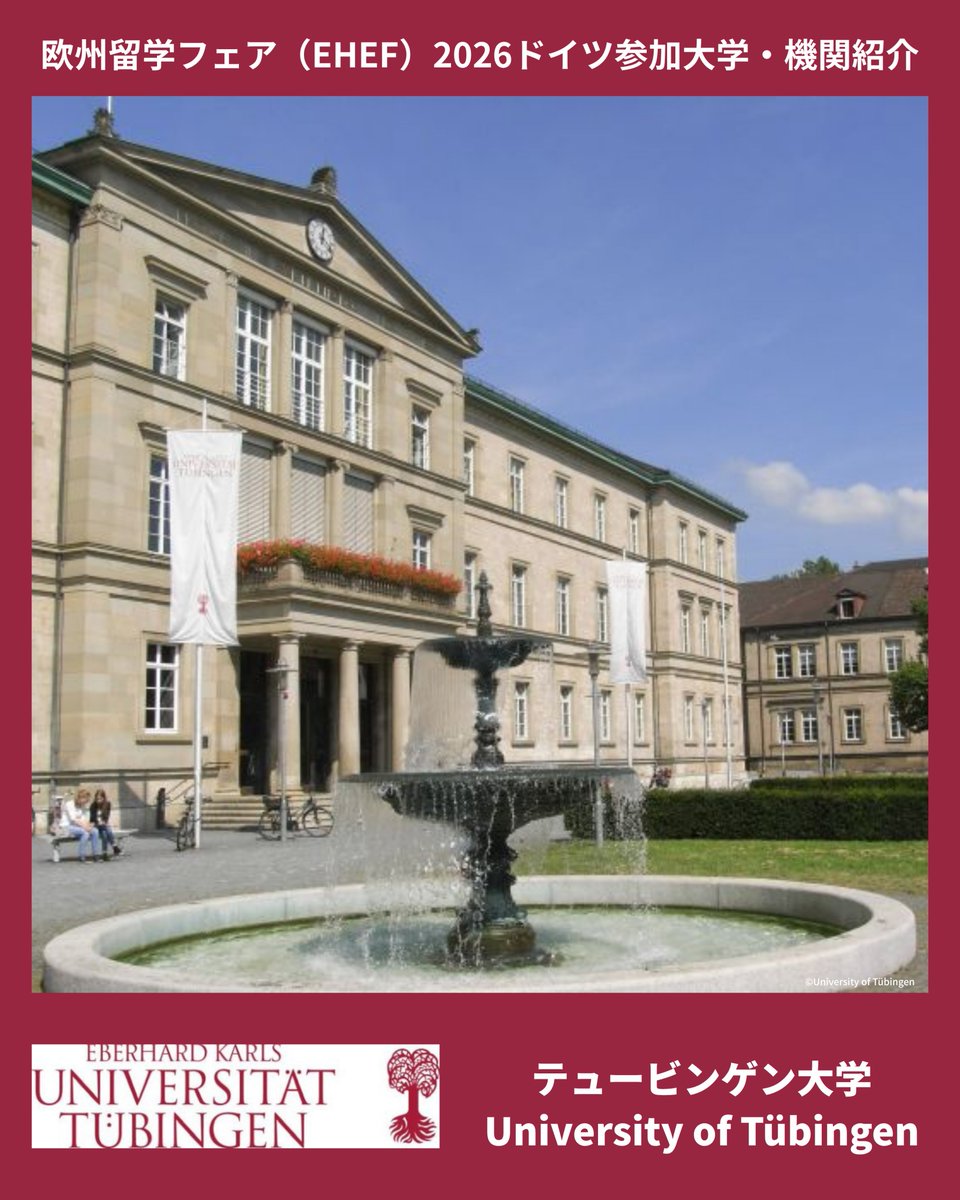 ソーシャルメディア・ティーザー・ビルド